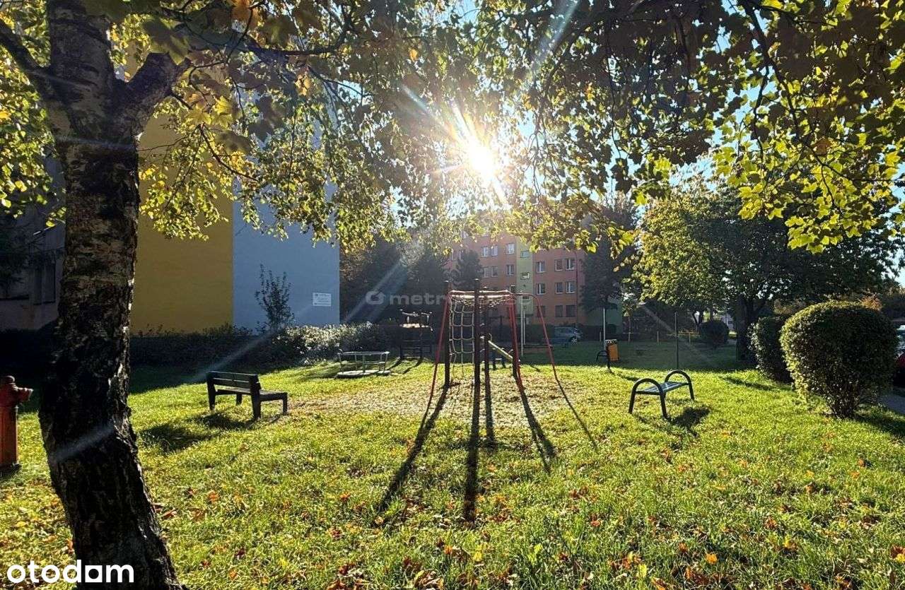 Słoneczne mieszkanie 52,5m2, balkon, Co miejskie!-3