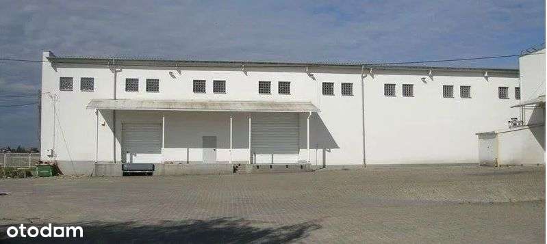 Na sprzedaż kompleks budynków magazynowo produkcyj - Pełny obrazek: 4/14