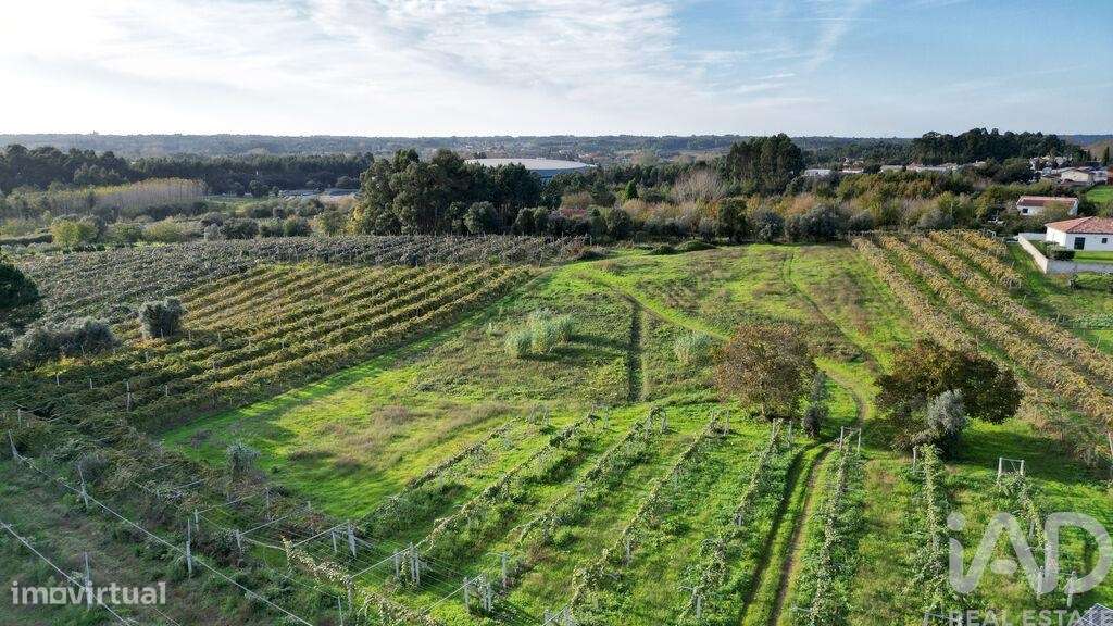 Terreno para construção em Sangalhos - Grande imagem: 2/16