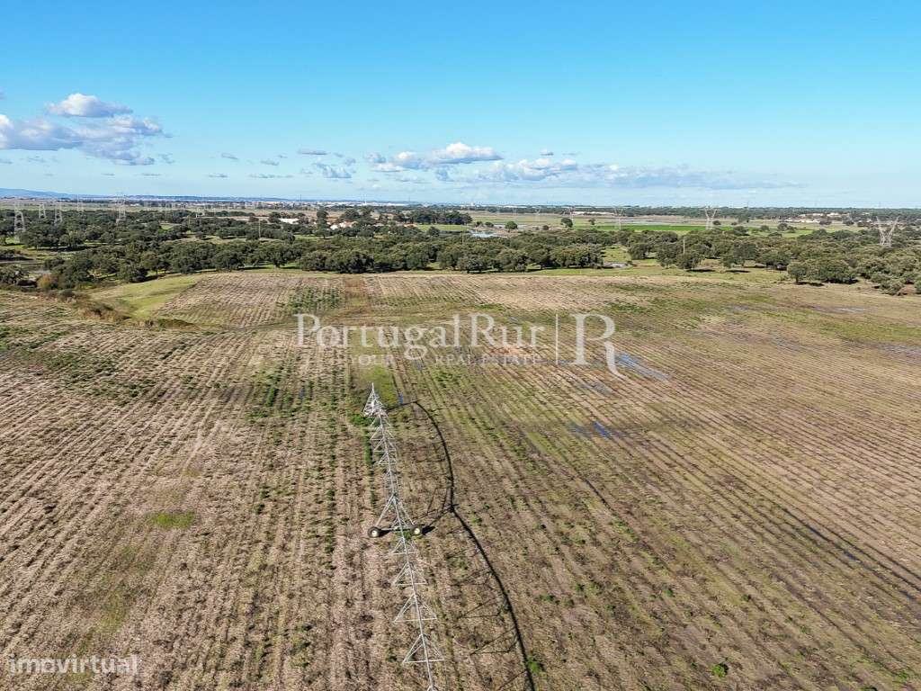Herdade de 60 hectares para criação bovina e equina perto de Lisboa-6
