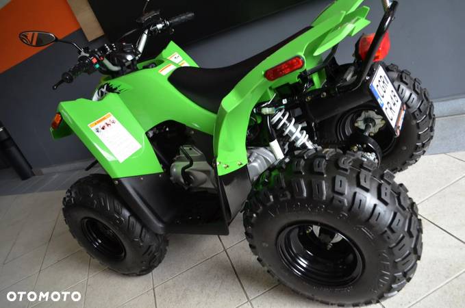 Arctic Cat Inny - 18