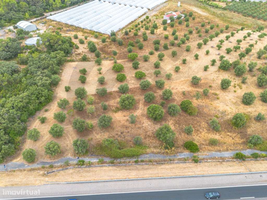 Terreno rústico - Grande imagem: 4/7