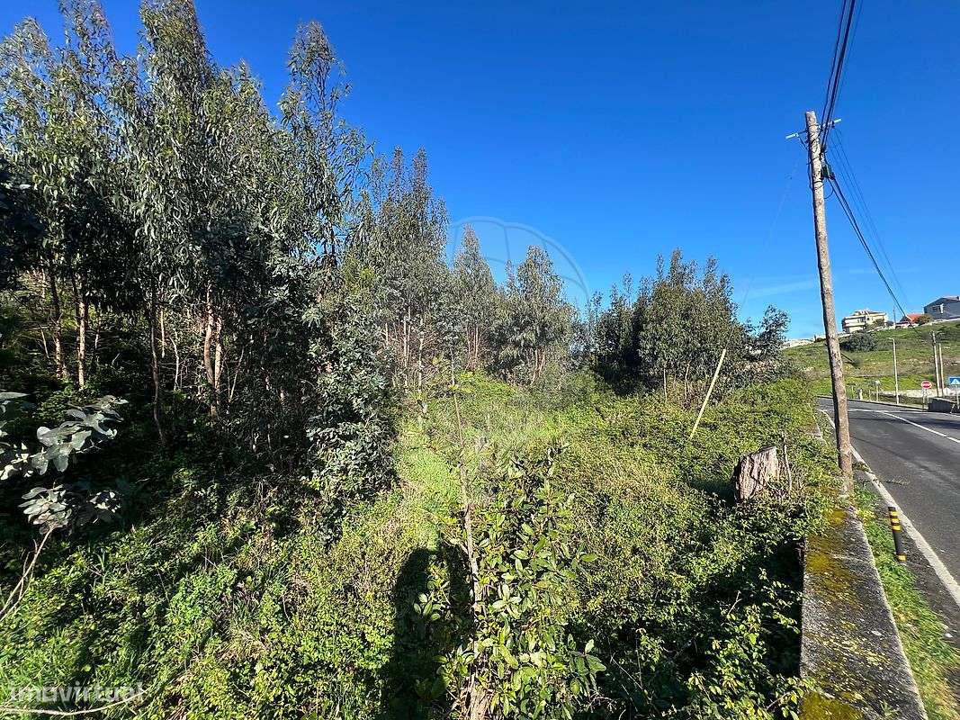 Terreno  para venda-17