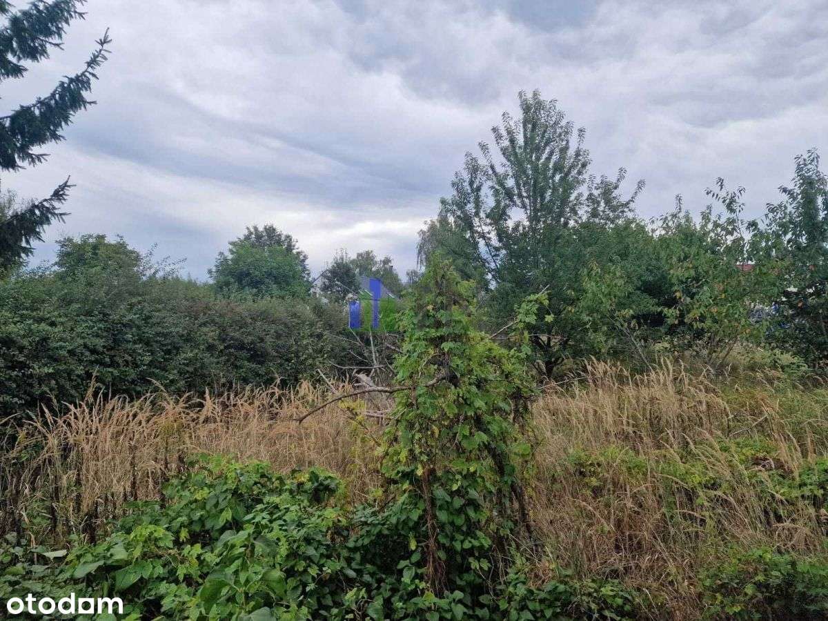 Działka, 1 500 m², Miłoszyce - Pełny obrazek: 5/10