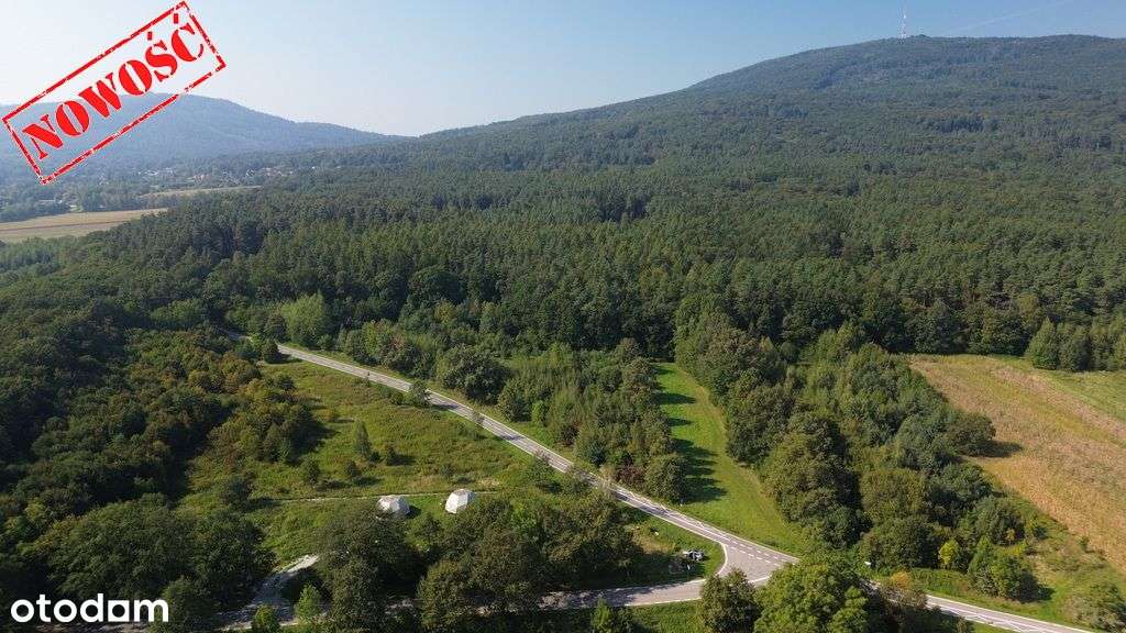 Działka rolno-leśna pod lesem Będkowice-2