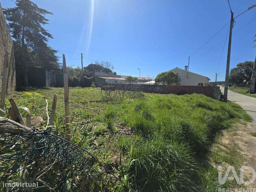 Terreno para construção em Lamas e Cercal - Grande imagem: 5/12