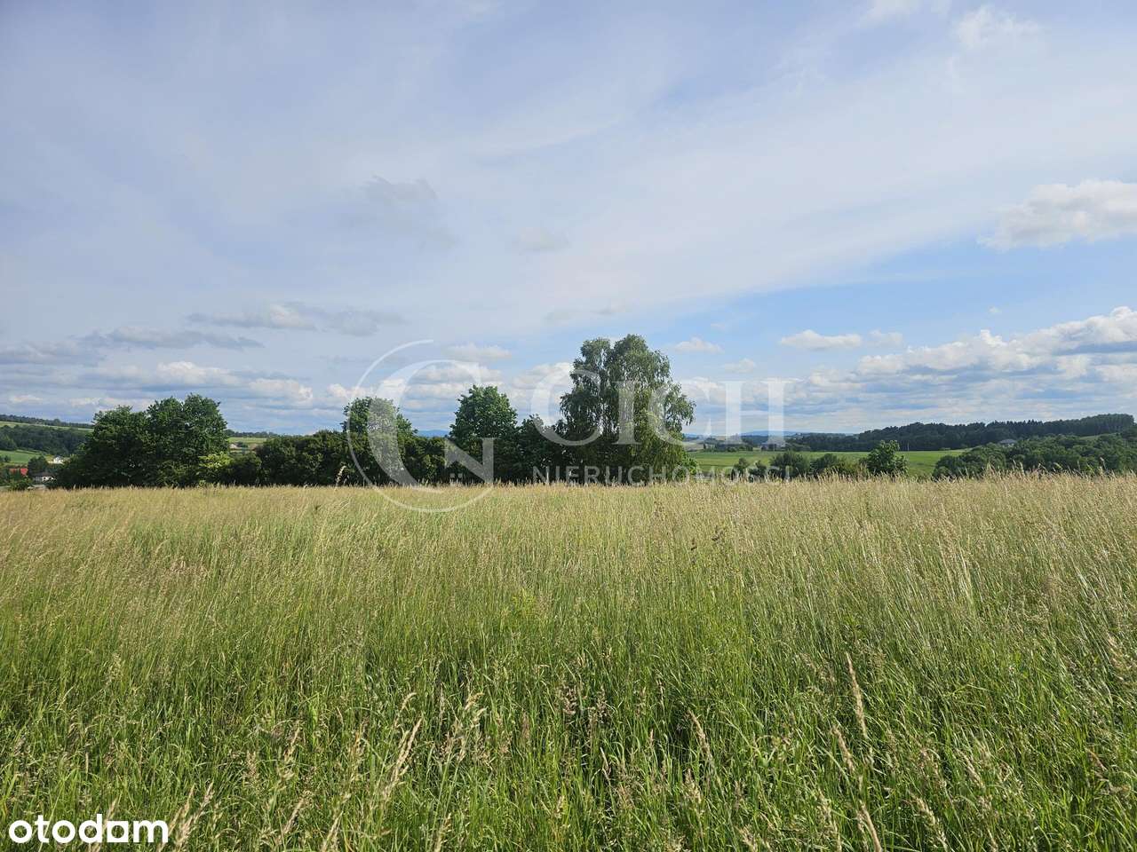 Widokowe działki budowlane w Święcanach-5