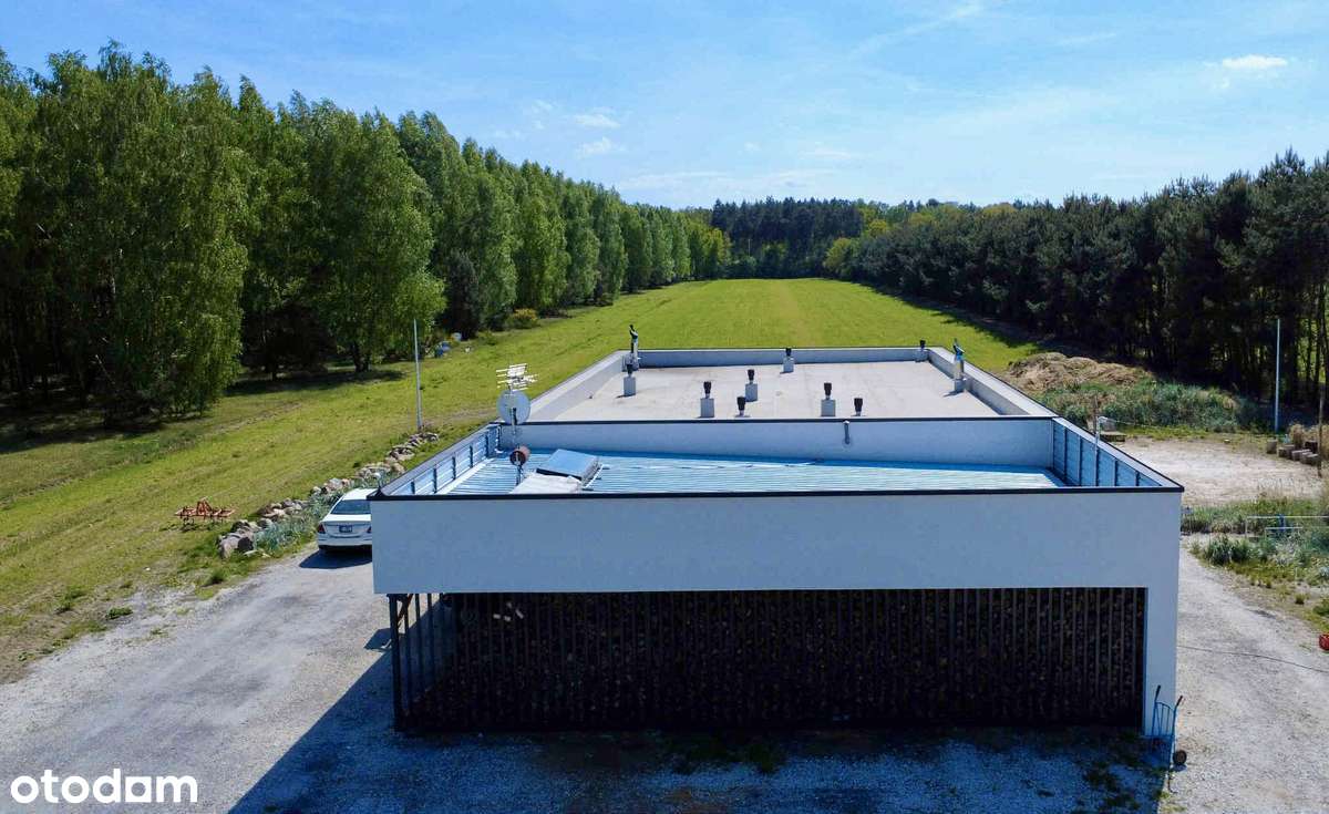 Nowoczesna oaza przy lesie z basenem i ekologiczną ziemią-5