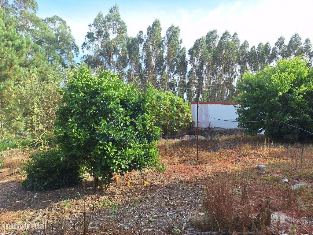 Terreno para construção, parada -Vila do conde - Grande imagem: 4/24