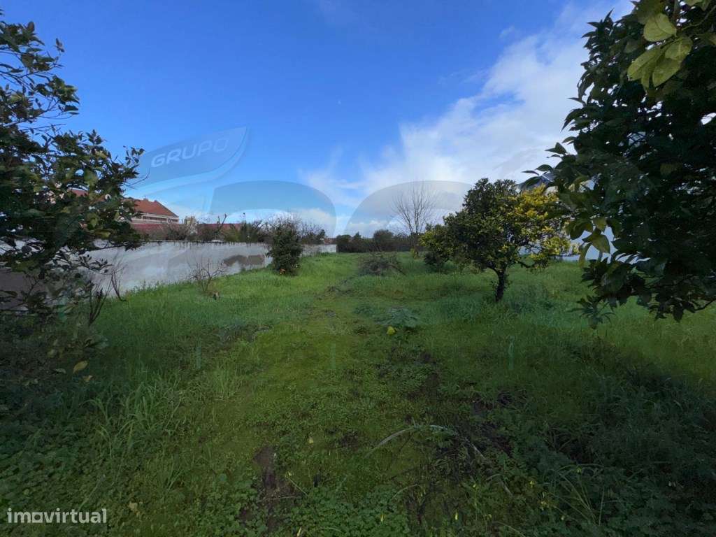 Charme Alentejano numa Moradia T3+2 com Garagem-21