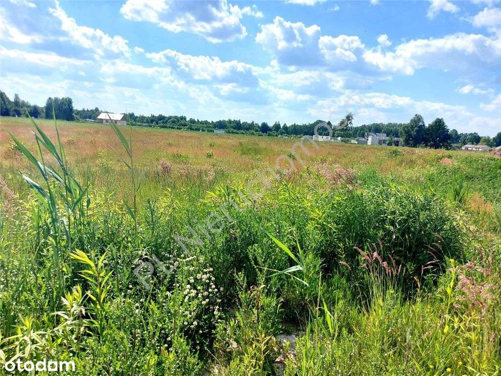 Działka, 1 000 m², Cyganka - Pełny obrazek: 5/8