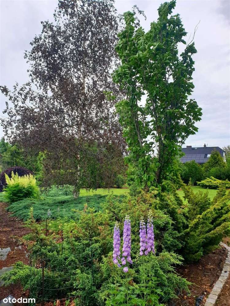 Działka Zbrosławice Księży Las, objęta Mpzp-1