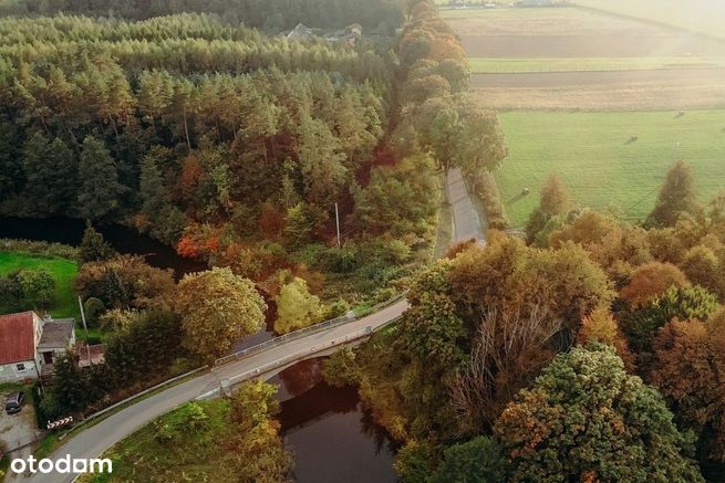 Grunt z linią brzegową Kanału Elbląskiego!