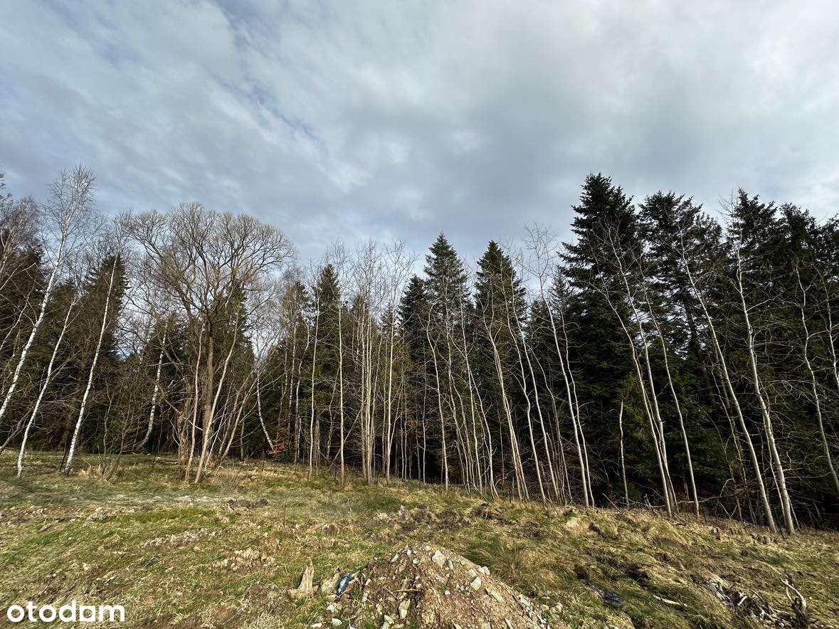 Widokowa działka pod samym lasem w górach - Pełny obrazek: 2/5