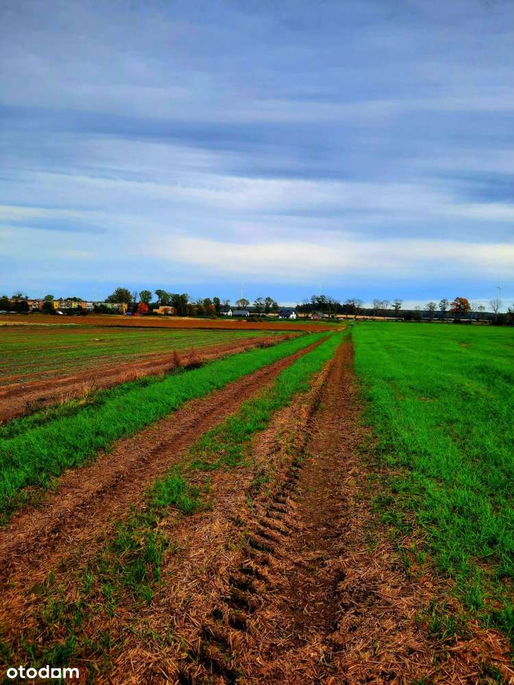 Działka inwestycyjna idealna pod zabudowę i usługi - Pełny obrazek: 5/9