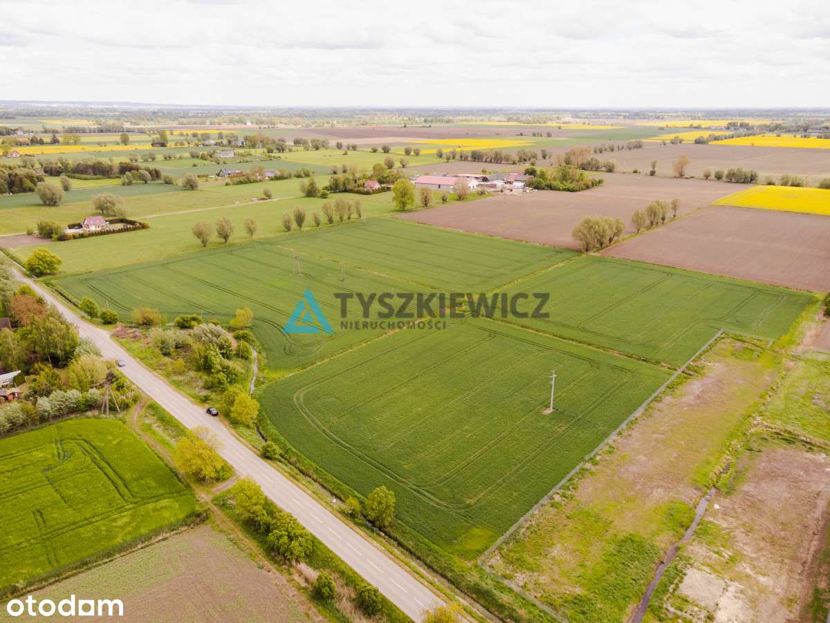 Blisko Nowego Dworu Gdańskiego i S7, ok. 6,4 ha - Pełny obrazek: 5/20