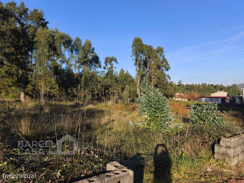 Excelente Oportunidade em Forjães - Esposende: Terreno de Construçã...-9
