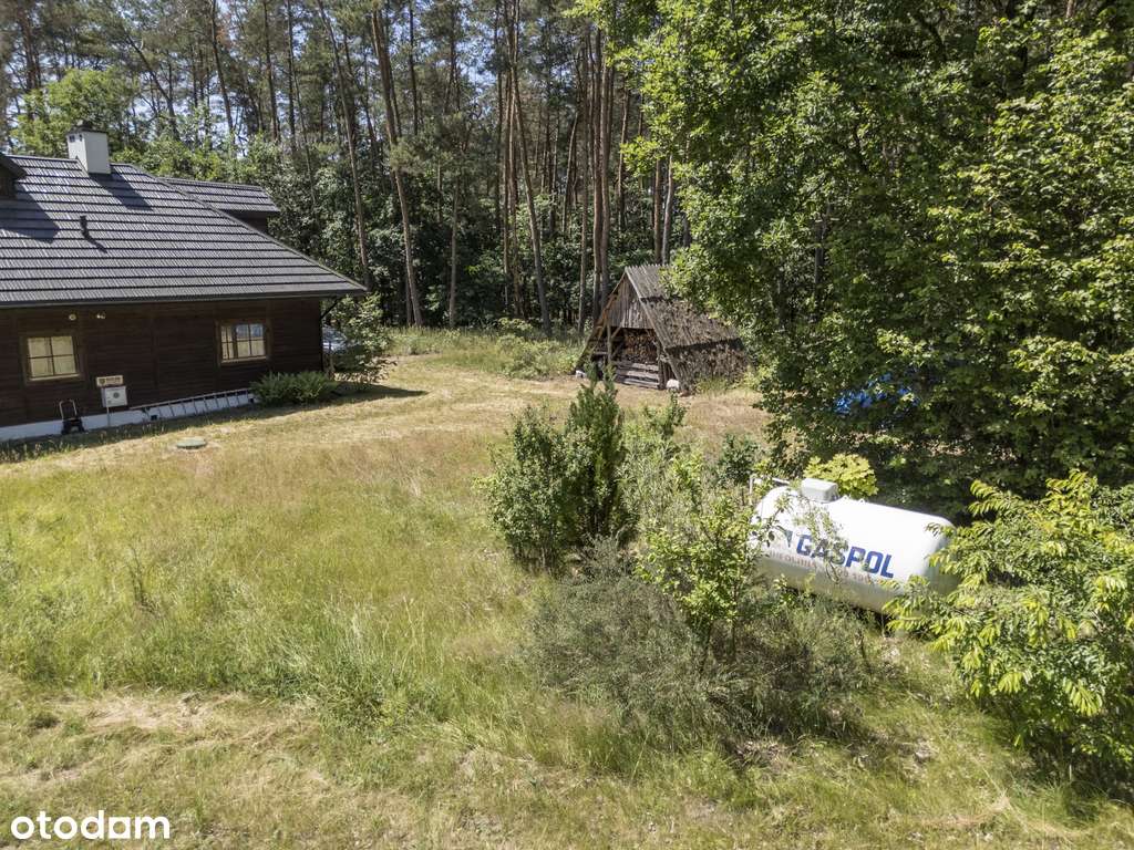 Siedlisko bud. otoczone lasem z domem/30km od W-wy - Pełny obrazek: 4/10