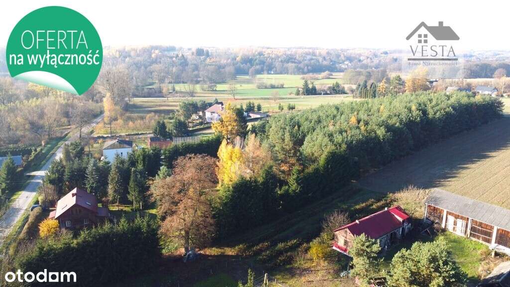 Dom drewniany w malowniczej okolicy, Rogalów - Pełny obrazek: 4/19