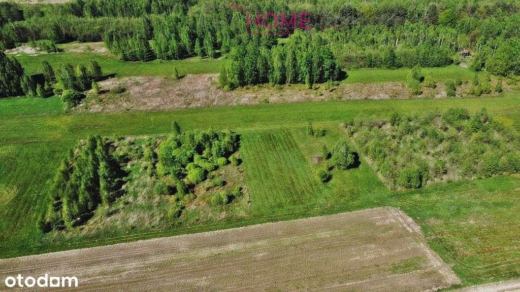 Działka na sprzedaż w Krzywej - Wz w realizacji - Pełny obrazek: 4/6