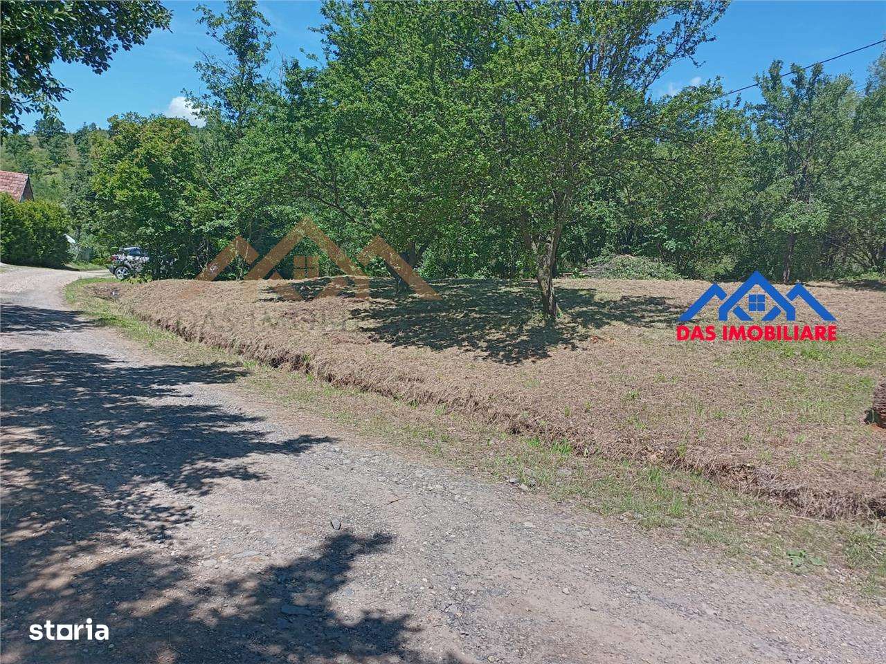 Teren intravilan,  2,5 ha, zona de deal in Seini - Imagine principală: 5/5