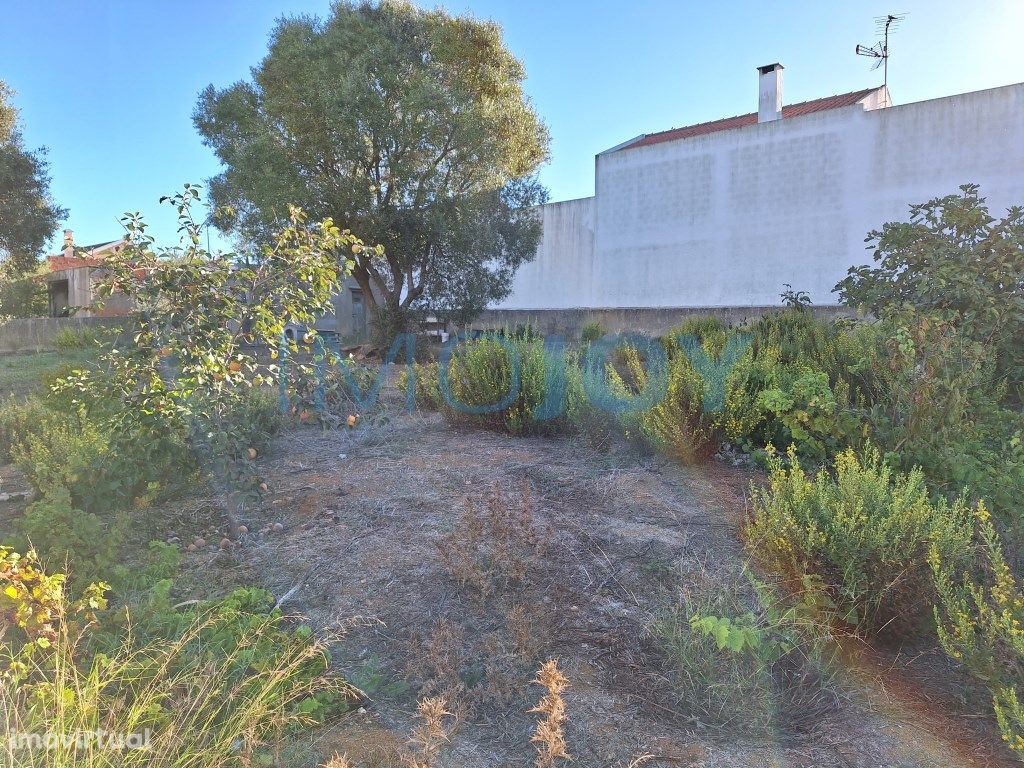 Dois Lotes de Terreno para Construção em Caparide