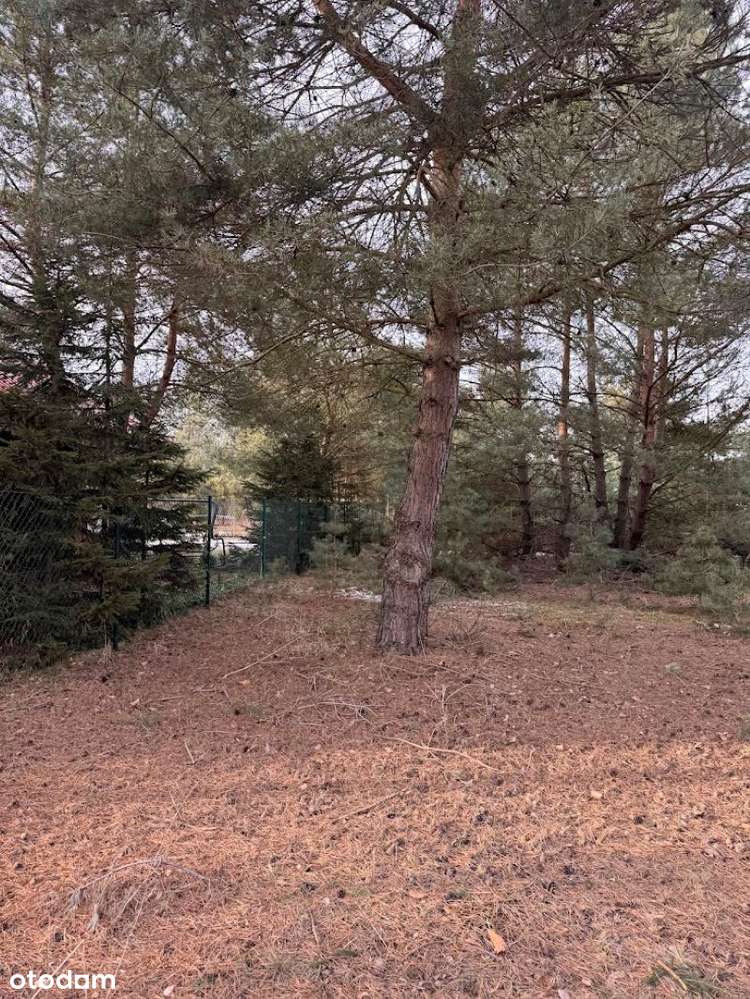 Wierzyce/Osiedle Pod Sosnami/P,W,G,K-7