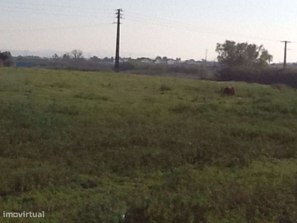 Terreno urbano, industral em frente ao Forum Montijo e Kartódromo c... - Grande imagem: 5/25