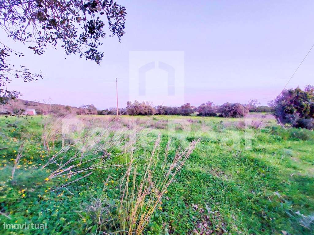 Casa Antiga T3 Venda Faro-10