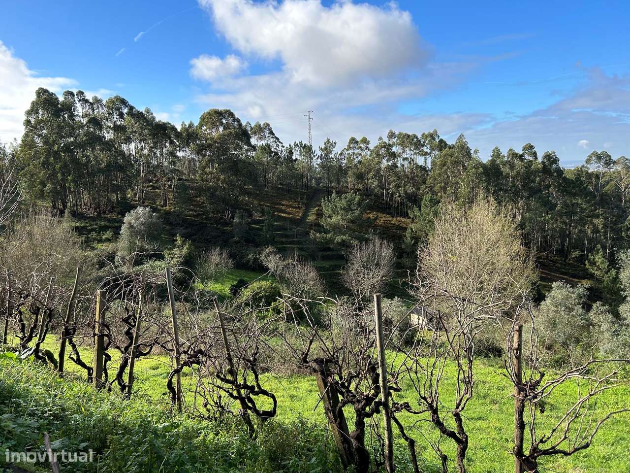 Terreno para Construção - Casal do Lobo - Grande imagem: 3/14