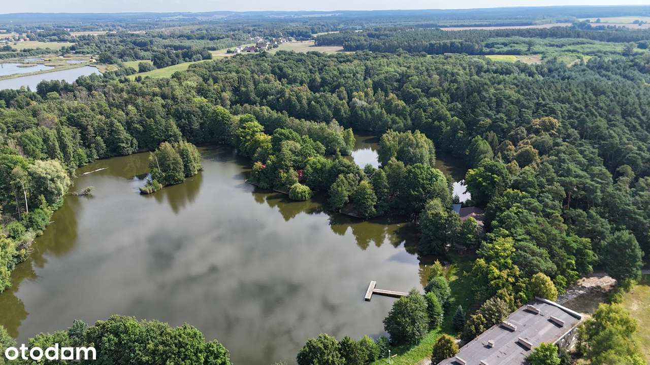 Kompleks działek rekreacyjnych w środku lasu | od 500 m2-13