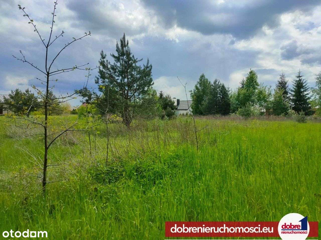 Działka ze ścianą lasu - 1664m2 - Strzelce Górne - Pełny obrazek: 5/6