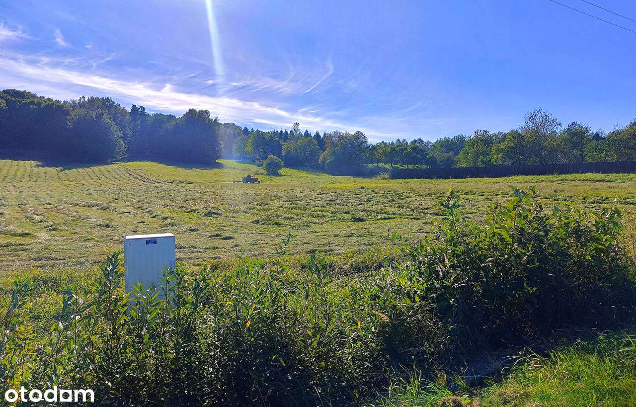 Działki na Roztoczu - Bondyrz-3