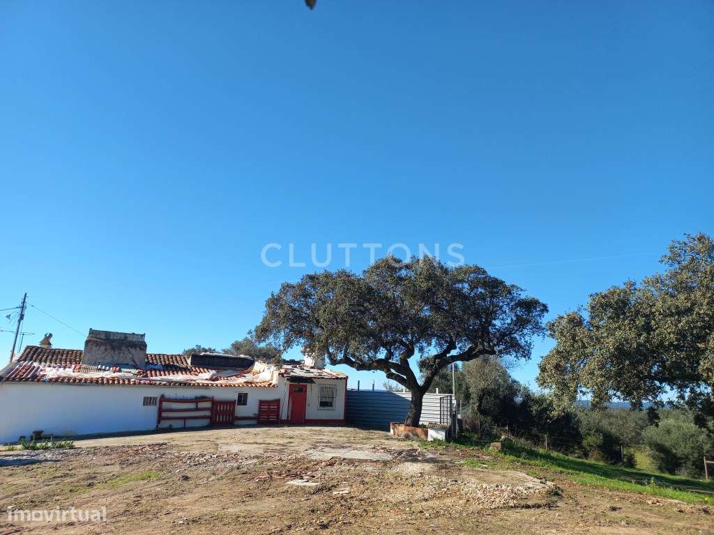 Terreno - Quinta, Investimento, 12 hectares e 844 m2 edificados, Évora-17