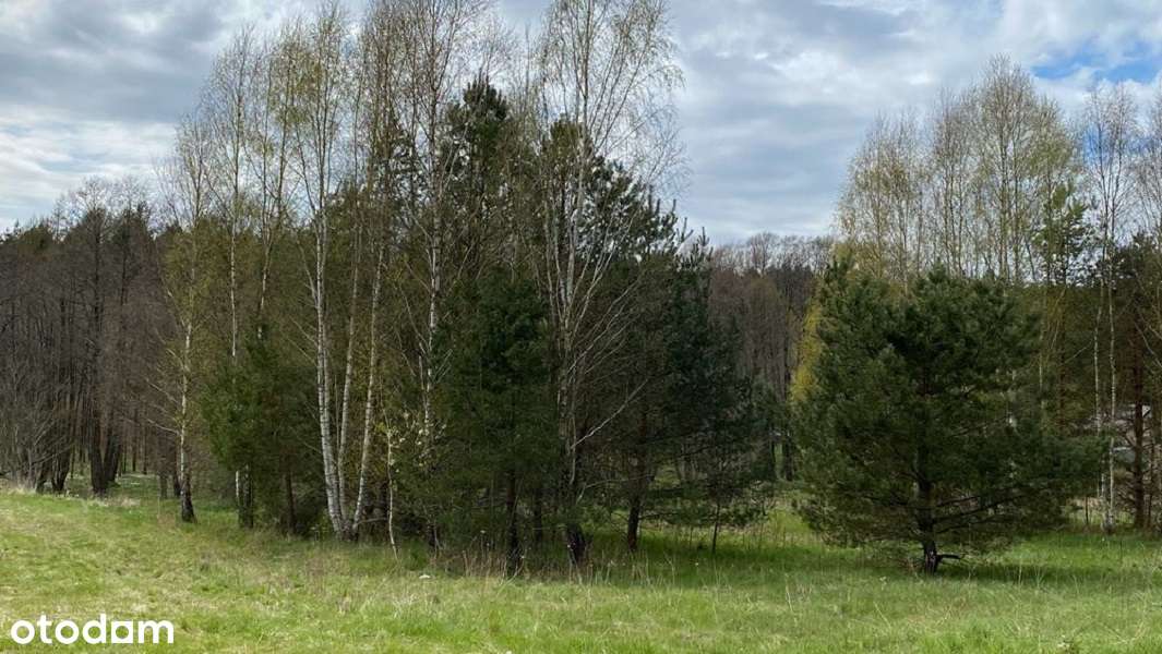 Piękna działka budowlana Kostkowo dostęp do lasu i strumyka - Pełny obrazek: 5/7