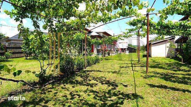 O Casa cu suflet, curte superba, la doar 7 km de Targoviste.-2
