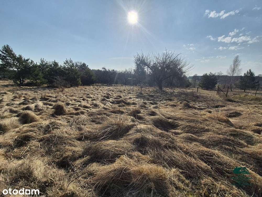 Działka 1563m2 z warunkami zabudowy Zgoda Aleksandrów Kujawski-3