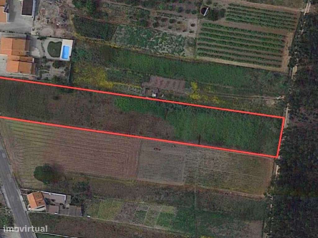 Terreno com vista mar e projetos aprovados! - Grande imagem: 3/8