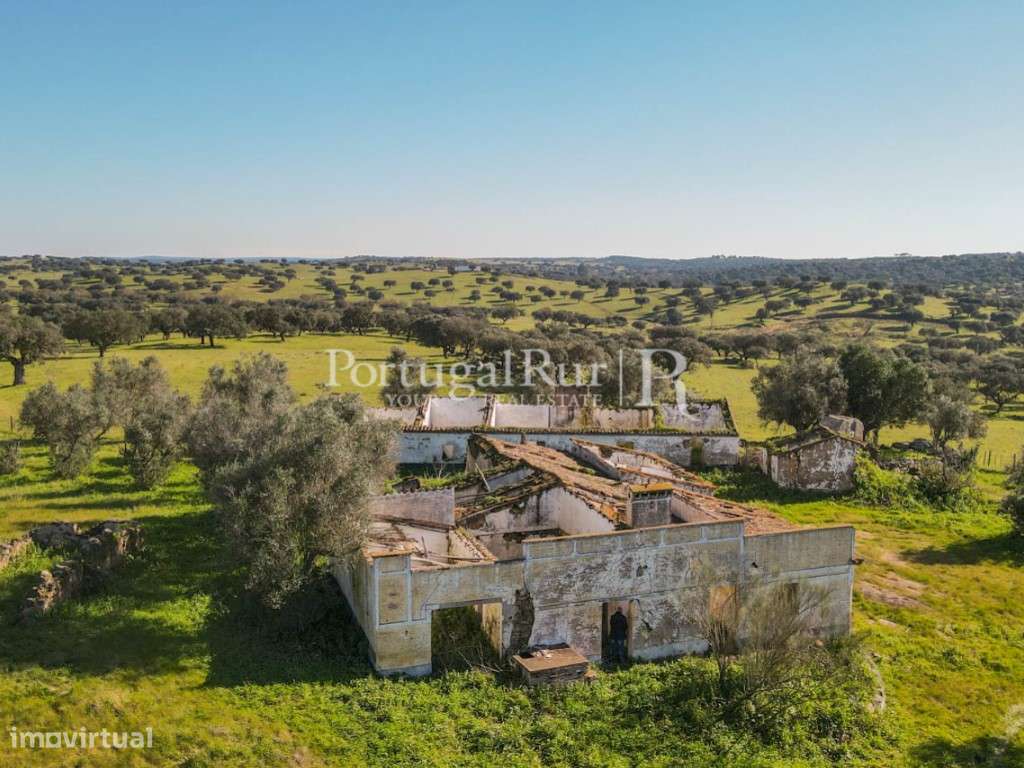 Herdade de 18 hectares perto de Estremoz - Grande imagem: 4/34