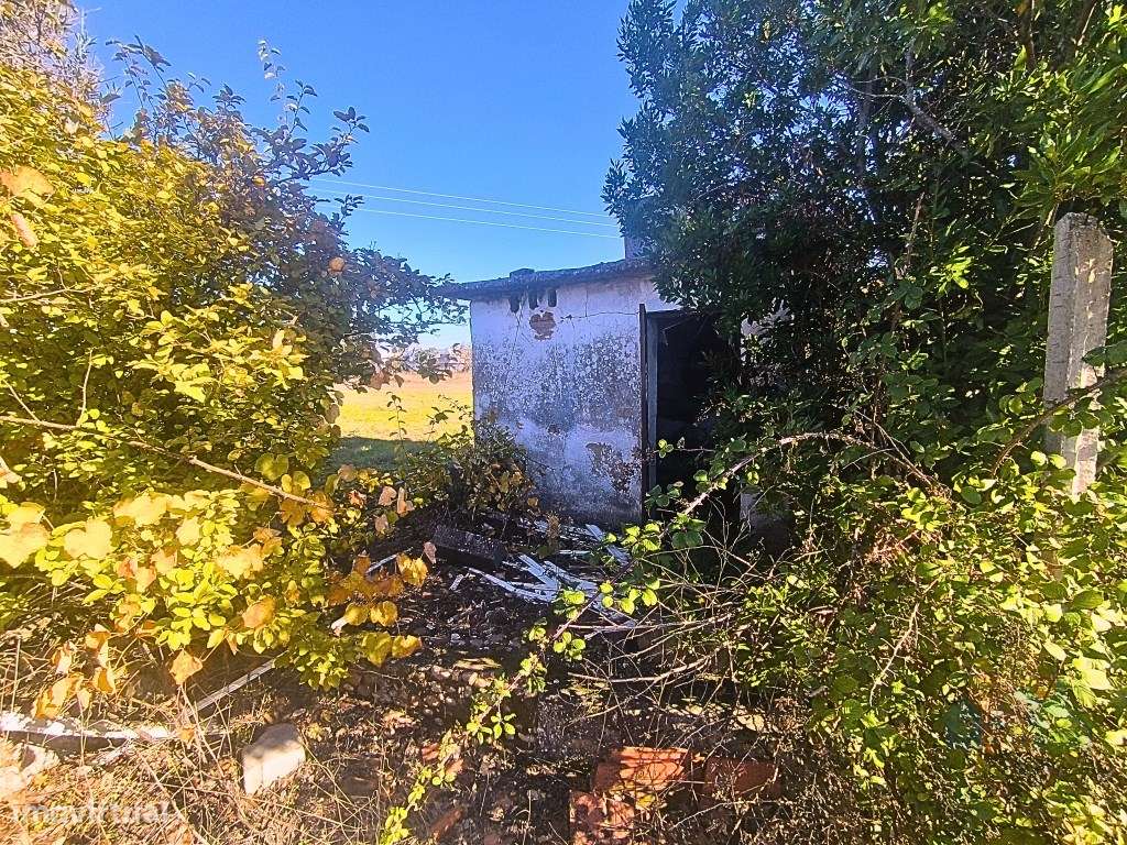 Moradia com potencial de renovação no Entroncamento - Grande imagem: 4/15