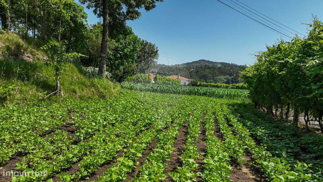 Terreno  para venda-20