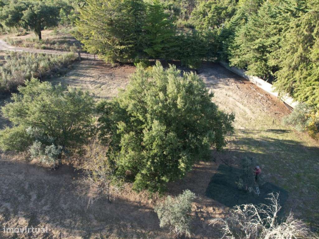 Fantástica Quinta T3 em Palvarinho - Grande imagem: 5/46