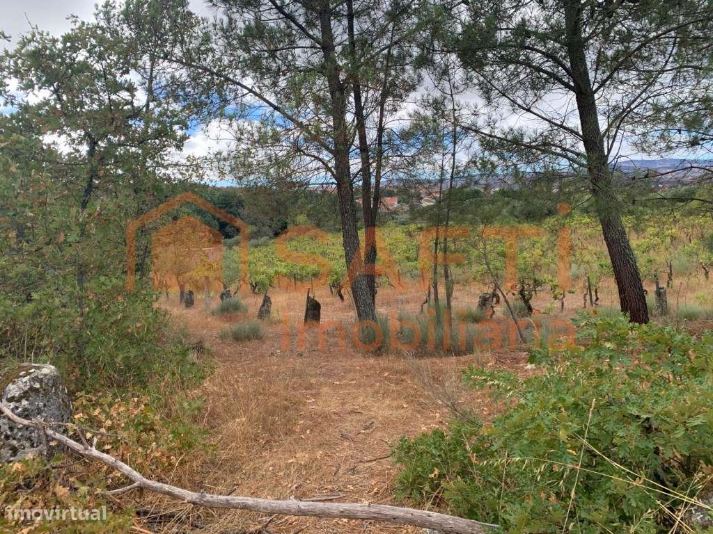 Terreno à venda em Prados - Pinhel-8