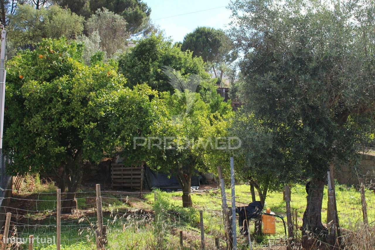 Terreno urbano com 517.5, m2 - Grande imagem: 3/29