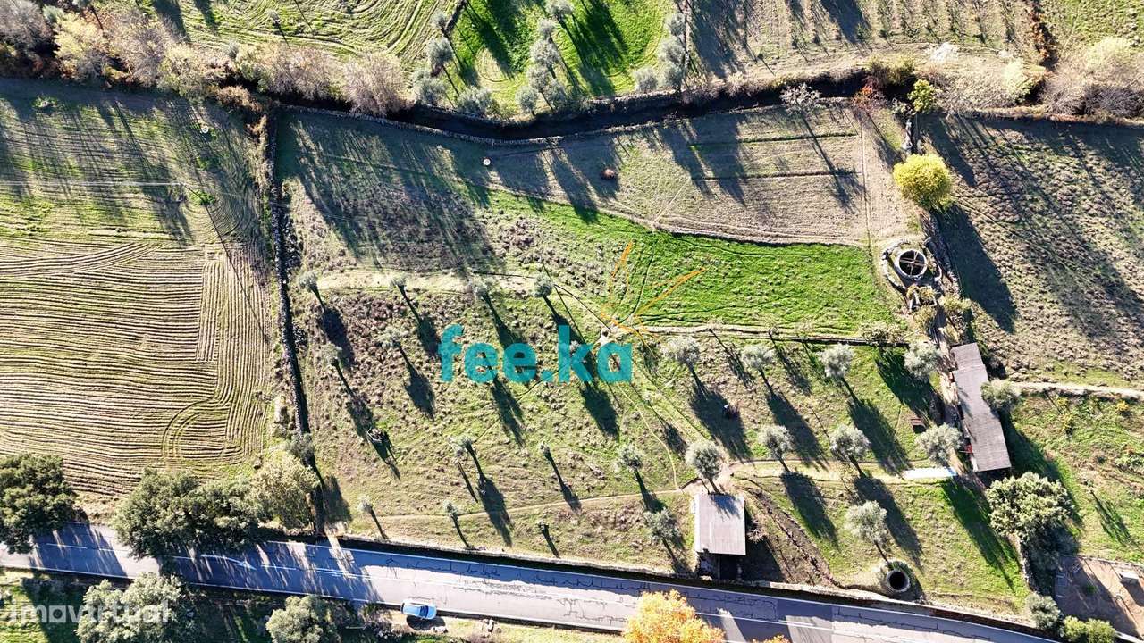 Quinta em Escalos de Baixo-27