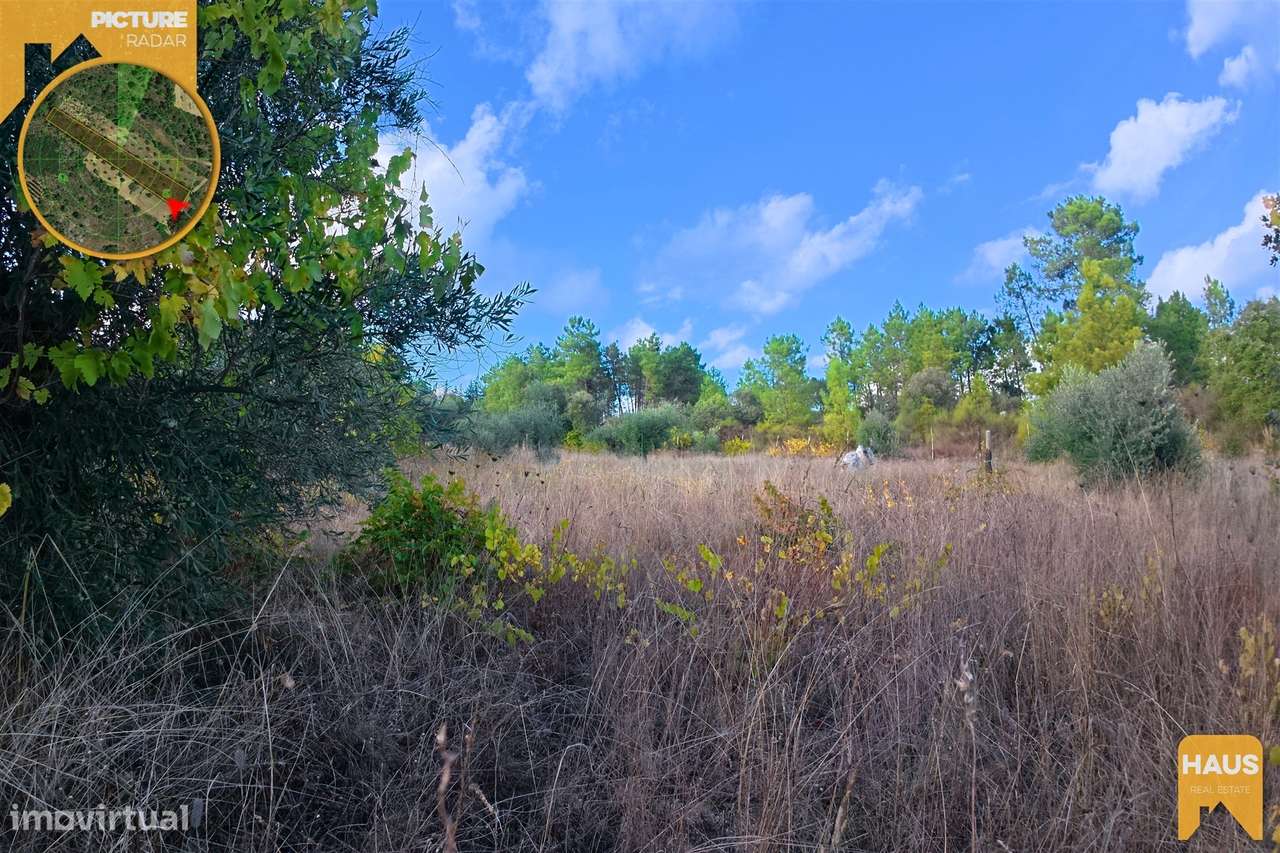 Terreno Rústico 2.300m² c/ Muros de Pedra – Juncal do Campo-8