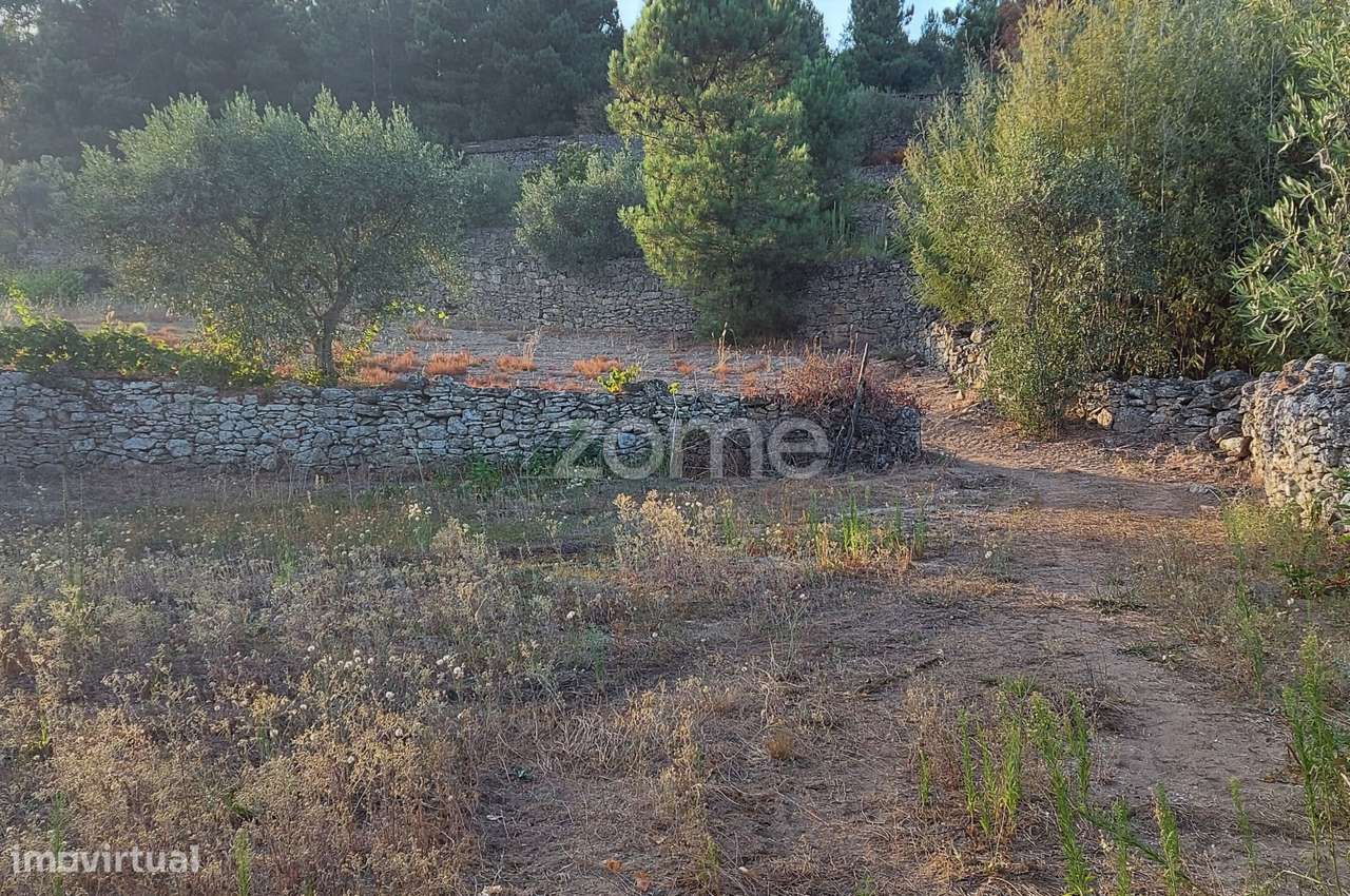 Quinta na Portelinha - Moimenta Da Beira - Grande imagem: 2/17