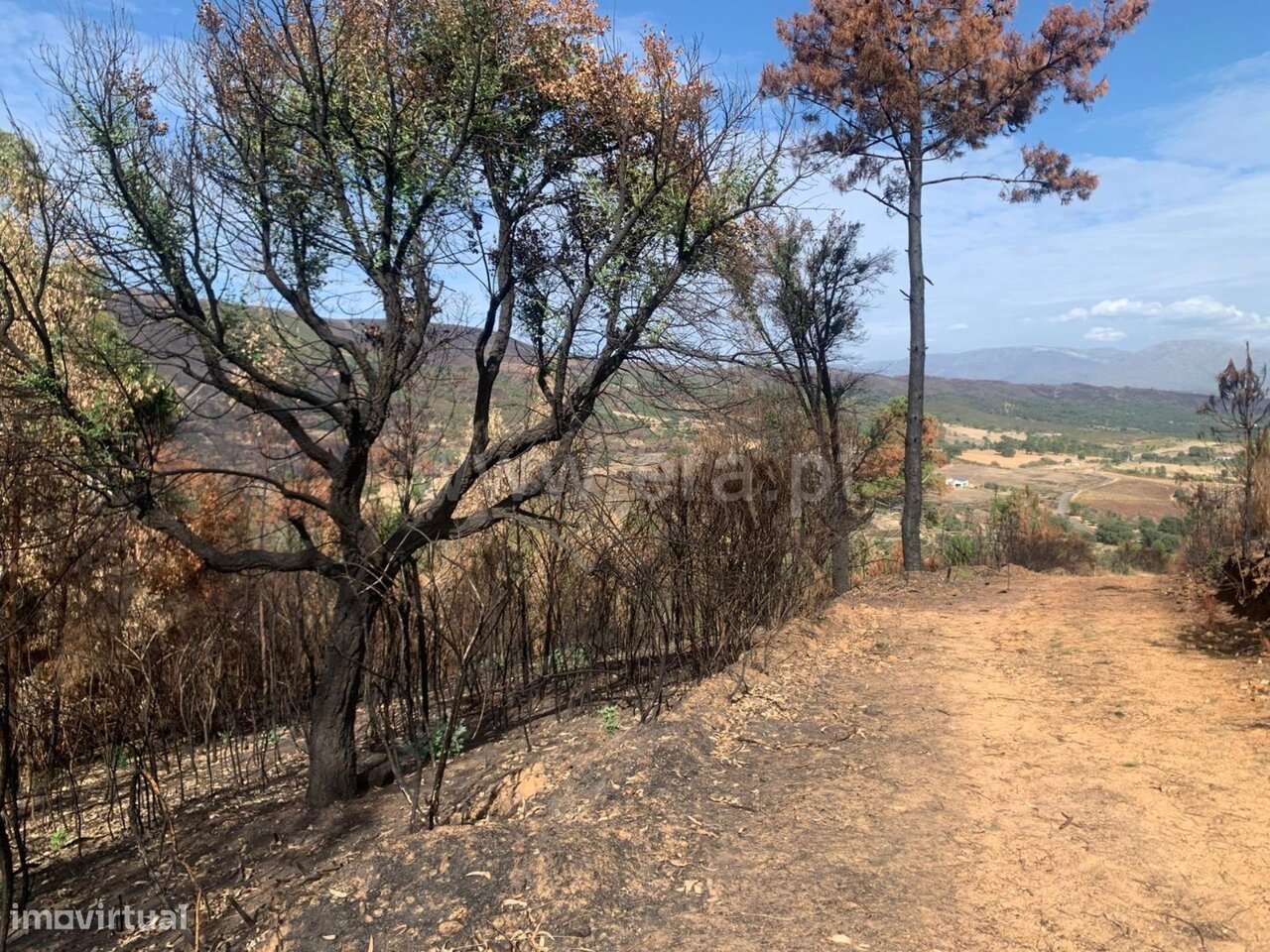Terreno / Fundão, Telhado - Grande imagem: 2/5