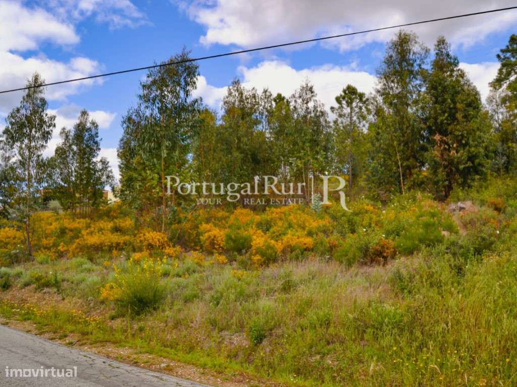Terreno na zona de Proença-a-Nova - Grande imagem: 5/19
