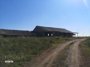 Constructie/ferma cu teren 4.257 mp,Dudescu/licitatie publica